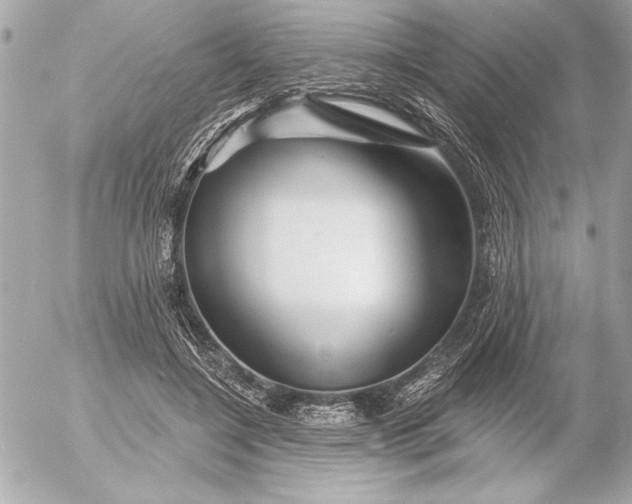 X0000054460548200508191705