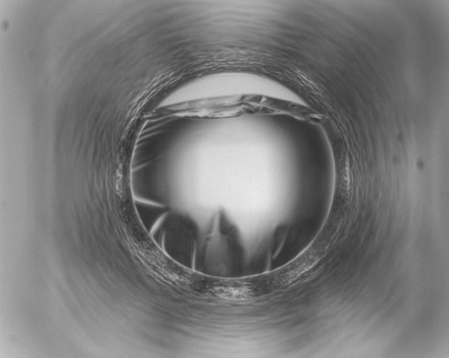 X0000054460552200508191705