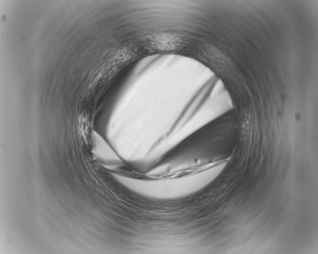 X0000054460555200508191705