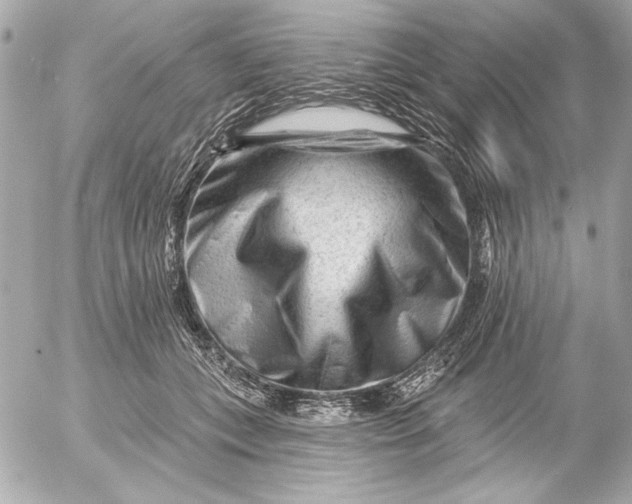 X0000054460559200508191705