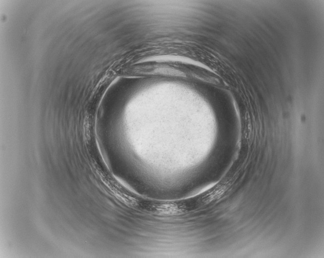 X0000054460562200508191705