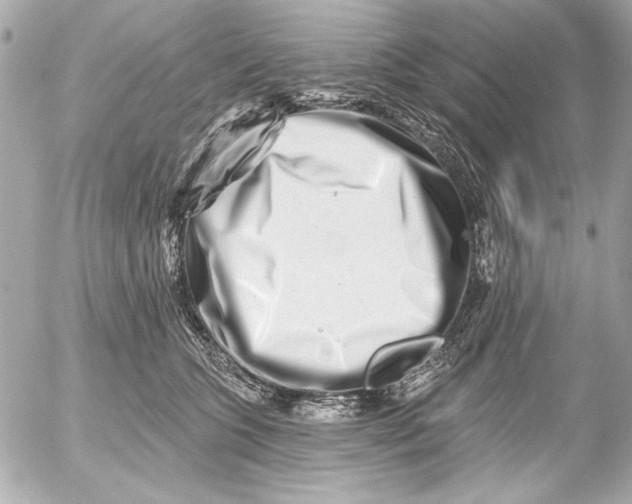 X0000054460563200508191705