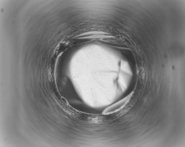 X0000054460564200508191705