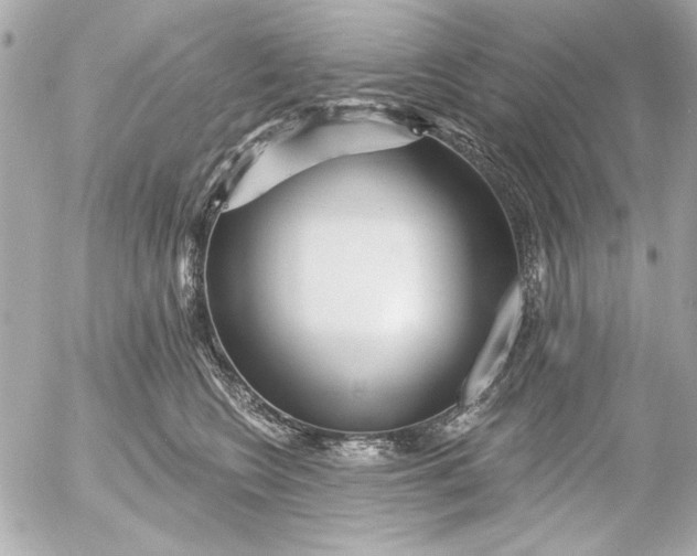 X0000054460566200508191705