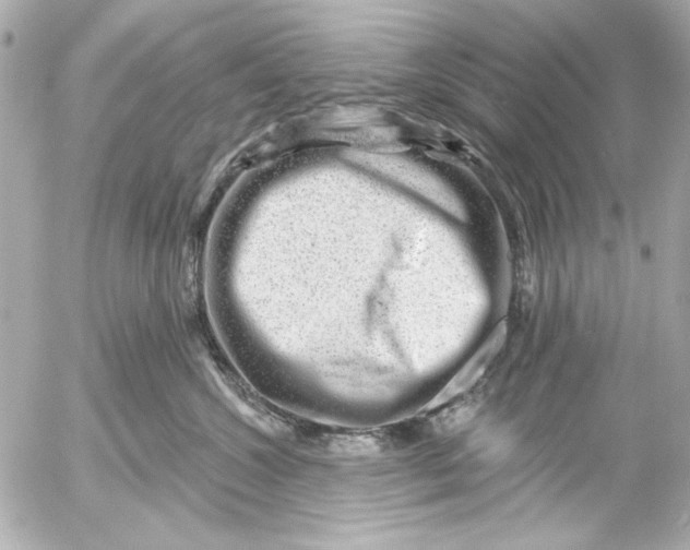 X0000054460572200508191705