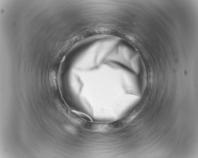 X0000054460575200508191705