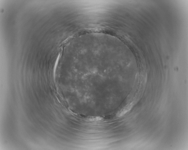 X0000054460576200508191705