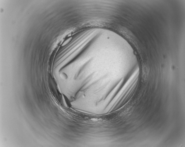 X0000054460578200508191705