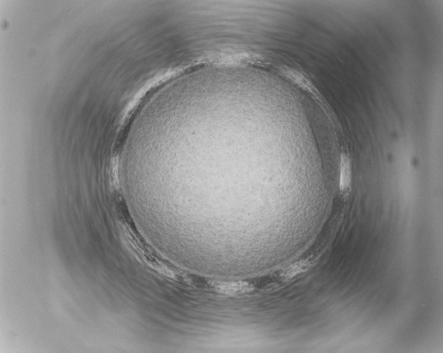 X0000054460579200508191705
