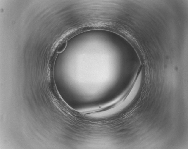 X0000054460584200508191704