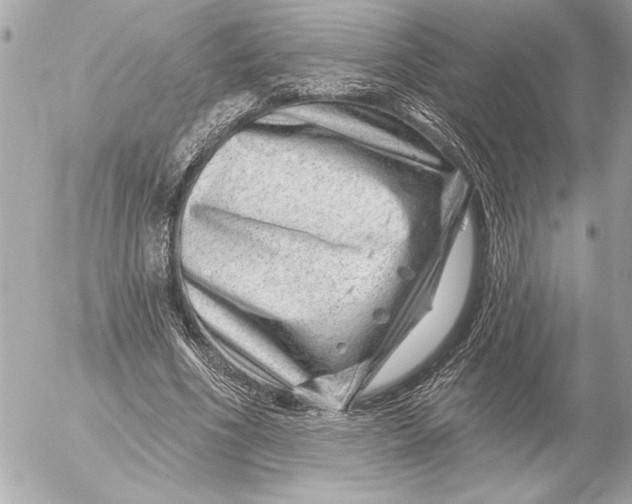 X0000054460586200508191704