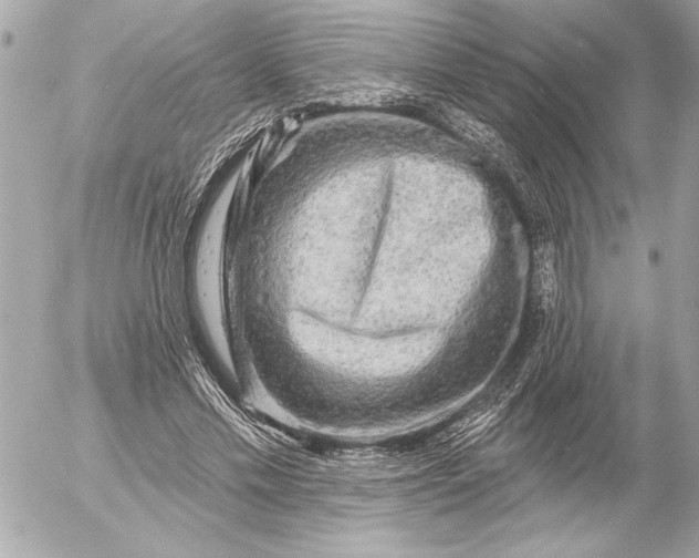 X0000054460589200508191704