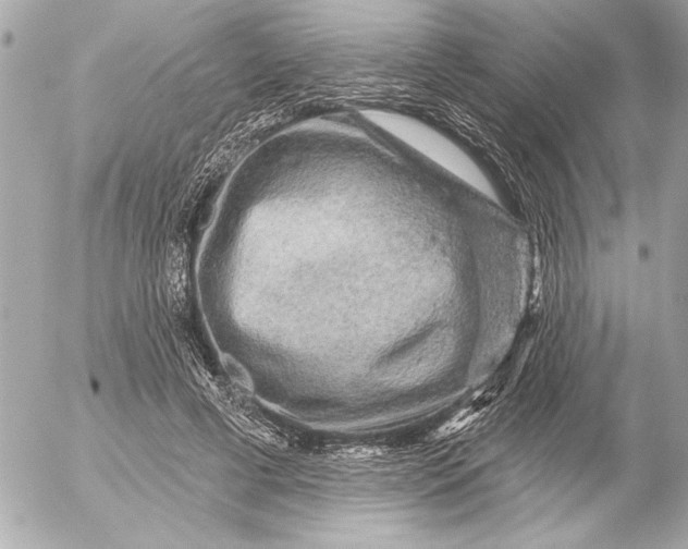 X0000054460593200508191704