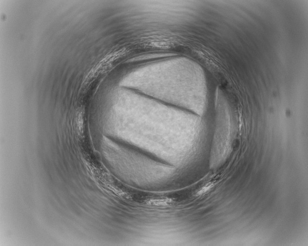 X0000054460595200508191704