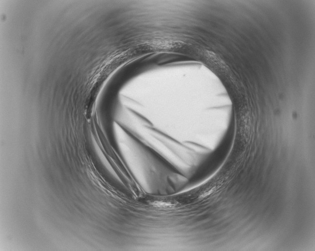 X0000054460596200508191704