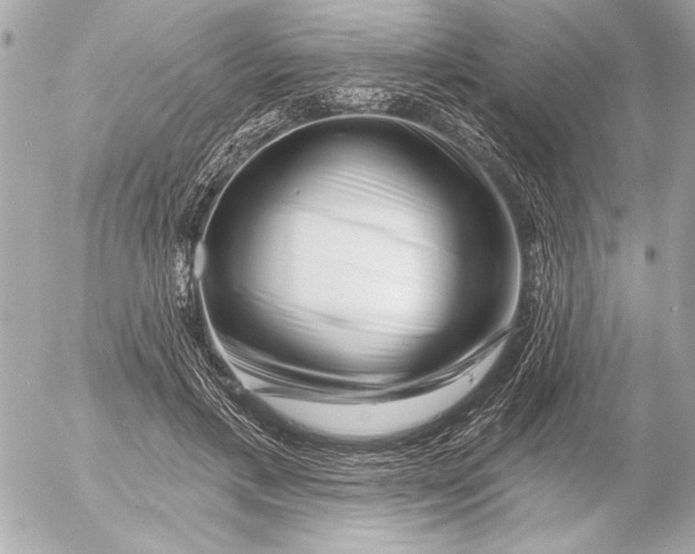 X0000054460597200508191704