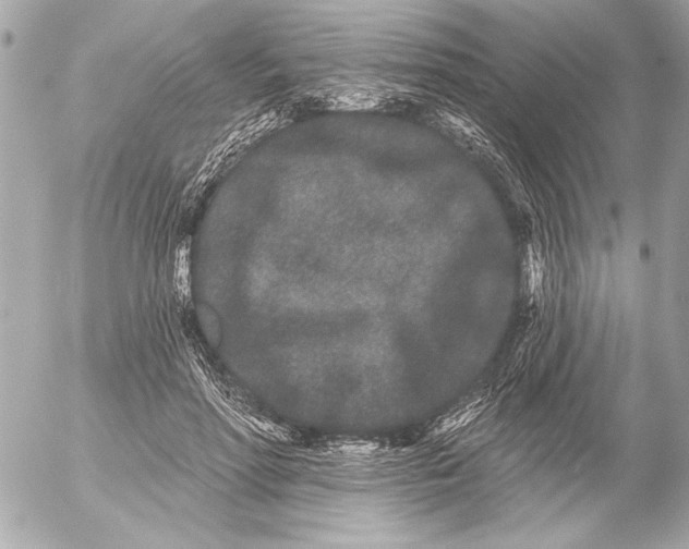 X0000054460598200508191704