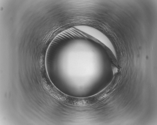 X0000054460600200508191704