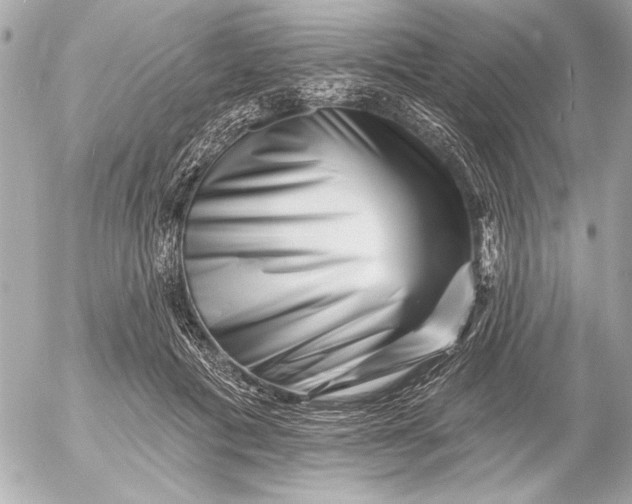 X0000054460601200508191704
