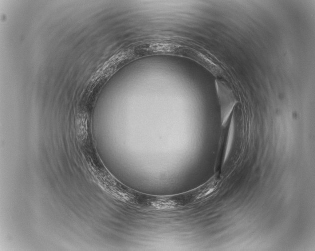 X0000054460603200508191704