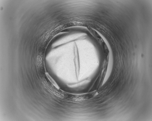 X0000054460604200508191704