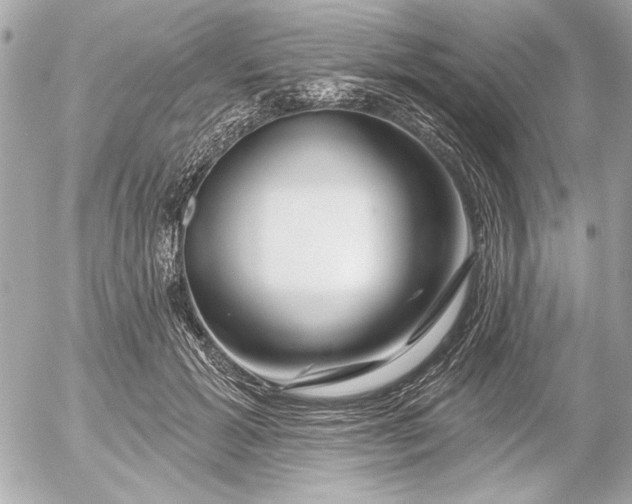 X0000054460605200508191704