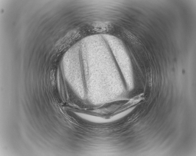 X0000054460606200508191704