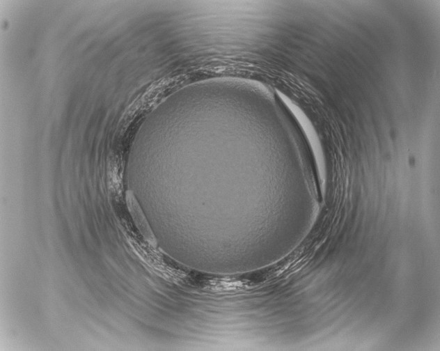 X0000054460607200508191704