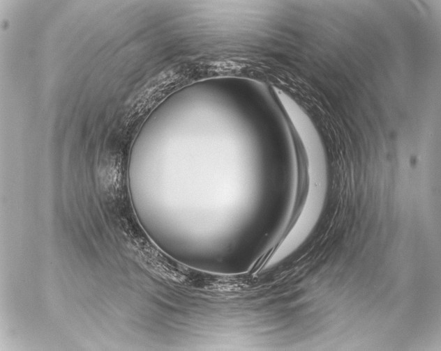 X0000054460608200508191704