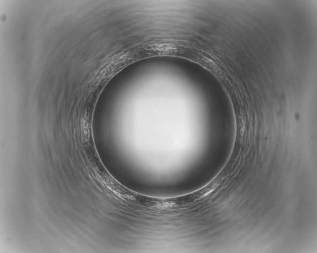 X0000054460609200508191704