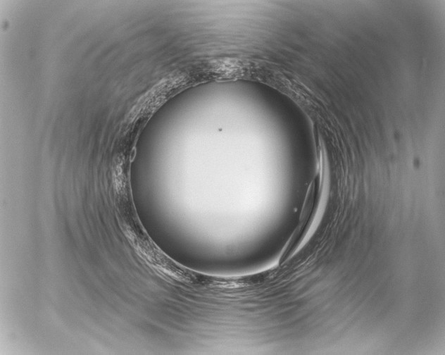X0000054460611200508191704