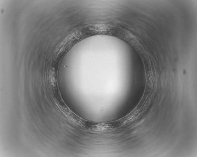 X0000054460612200508191704