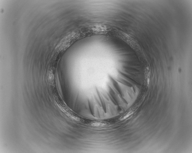 X0000054460614200508191704