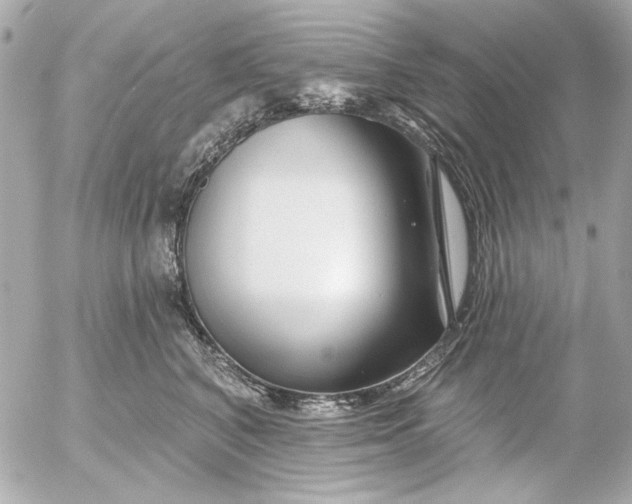 X0000054460616200508191704