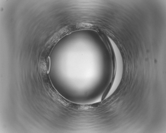 X0000054460617200508191704