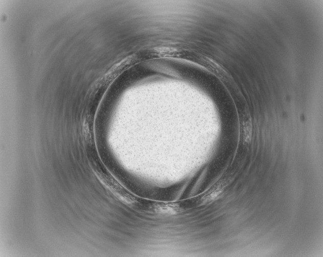 X0000054460618200508191704