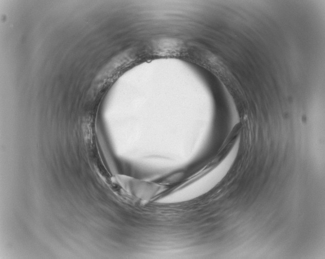 X0000054460620200508191704