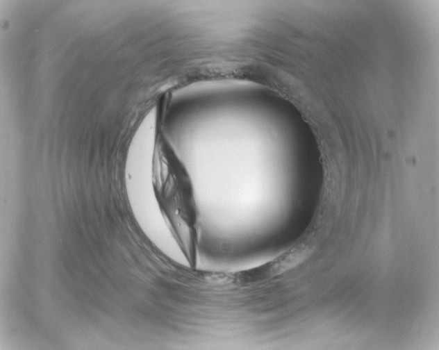 X0000054460624200508191704