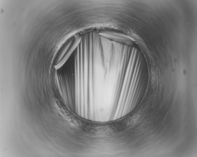 X0000054460628200508191703
