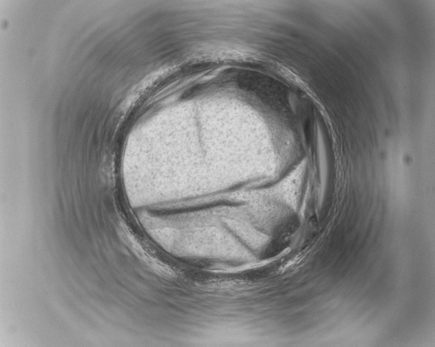 X0000054460629200508191703