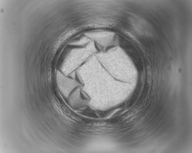 X0000054460631200508191703