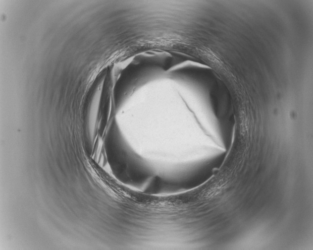 X0000054460634200508191703