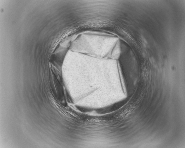 X0000054460635200508191703