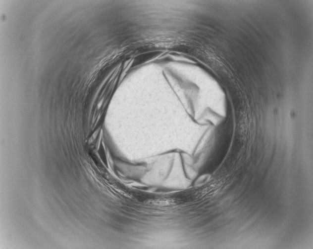 X0000054460639200508191703