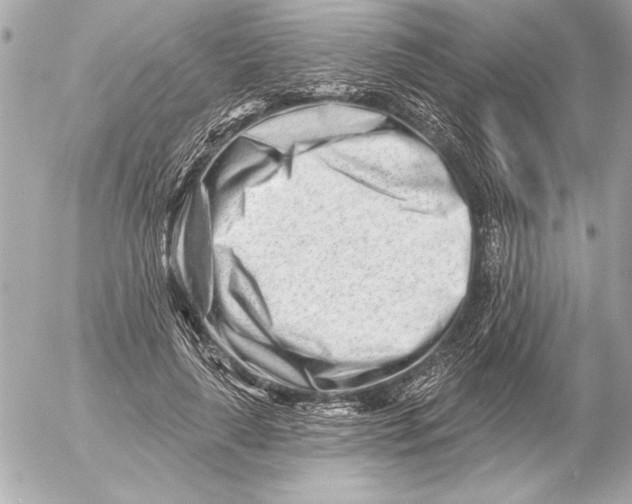 X0000054460643200508191703
