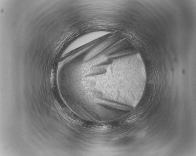 X0000054460646200508191703