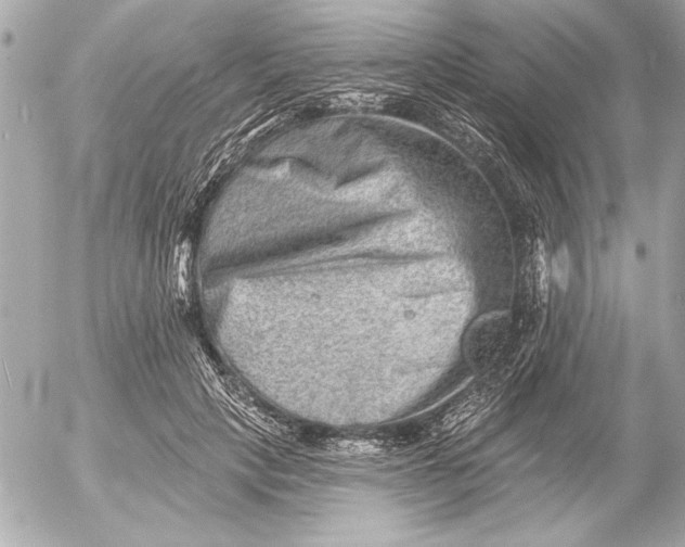X0000054460649200508191703