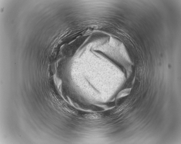 X0000054460652200508191703