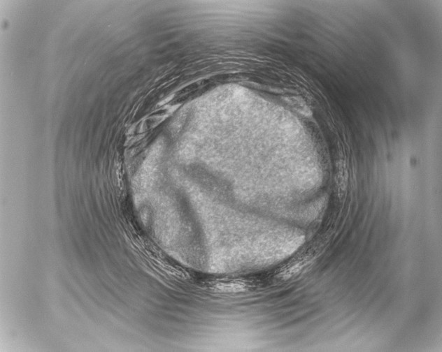 X0000054460653200508191703
