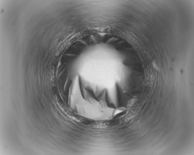 X0000054460656200508191703